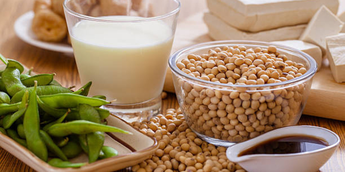 Soy Food Market Key Players, Size & Share Analysis - Growth Trends & Forecasts 2032